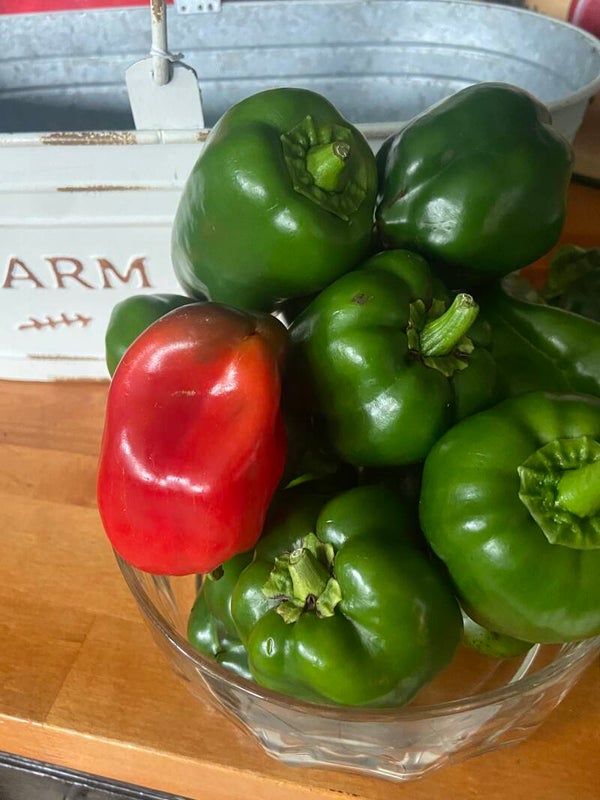 Bell peppers