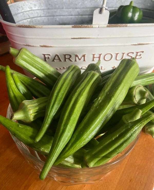 Okra