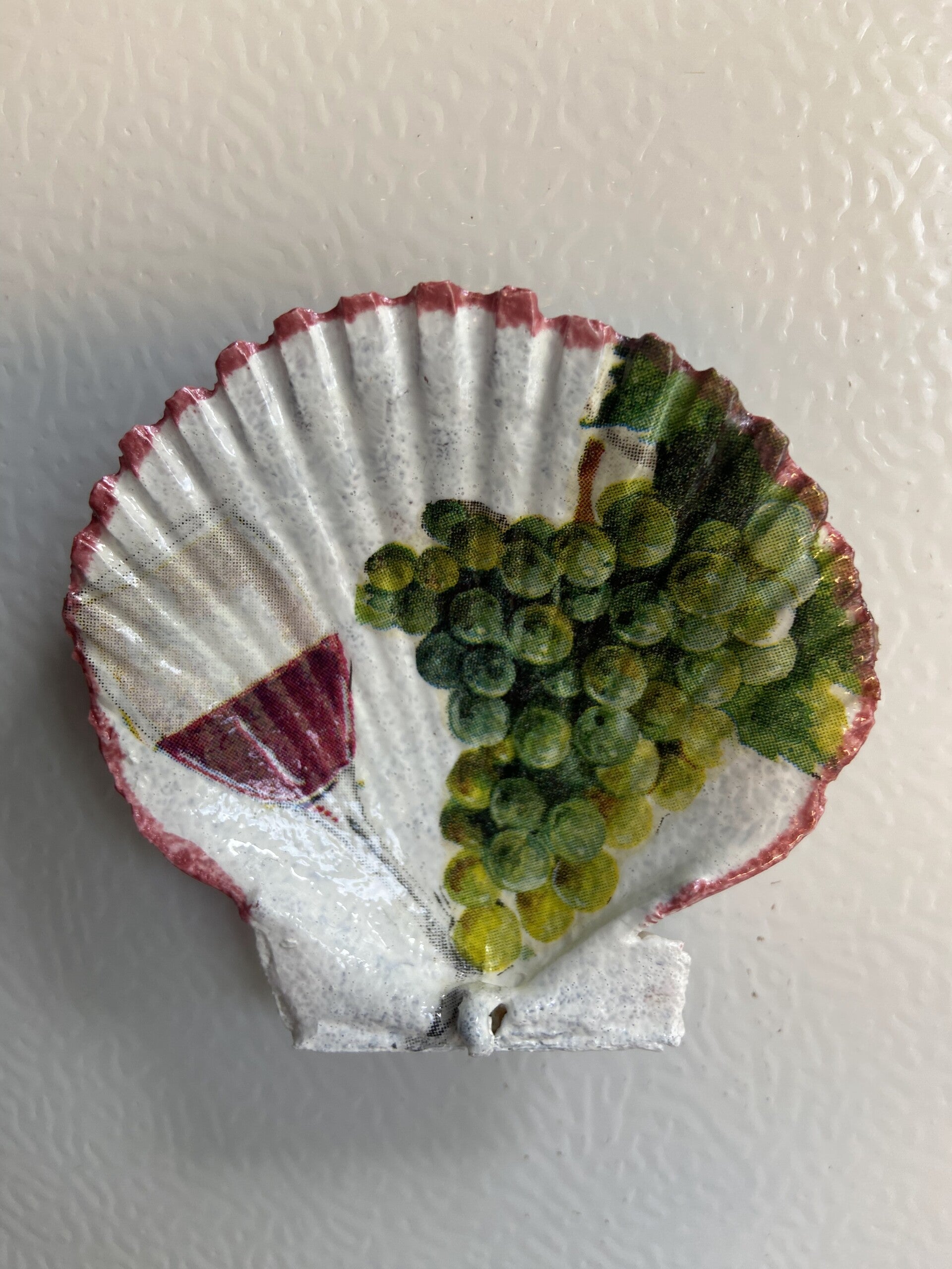 Petite Coquille Saint-Jacques magnétique