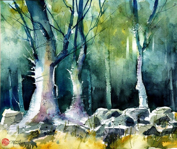 Landschap