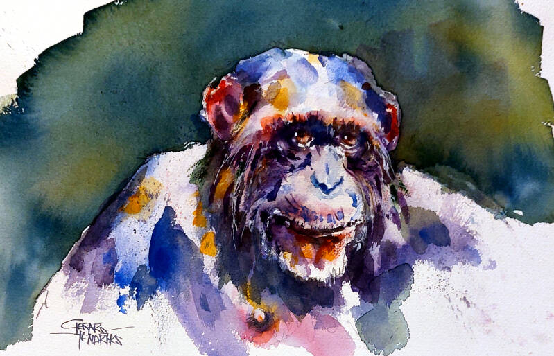 7355-chimp-38x56-standard.jpg