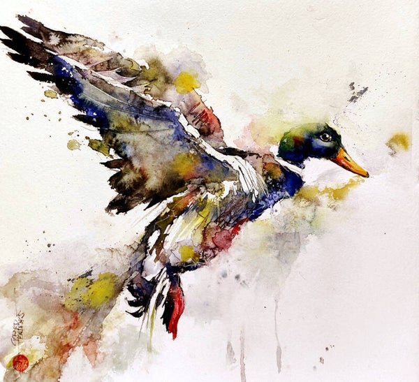 Flying Duck