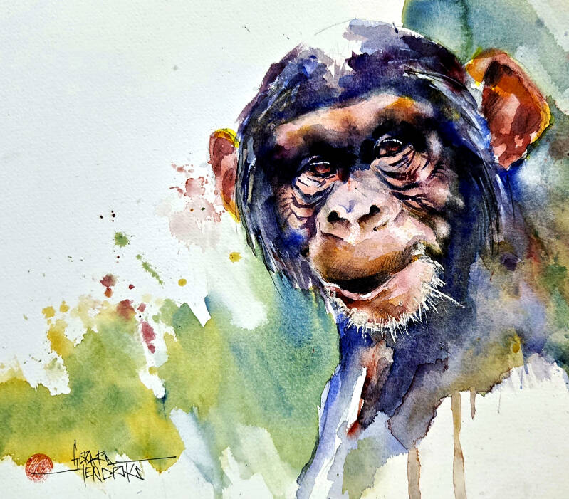 9062-chimp-30x40cm-standard.jpg