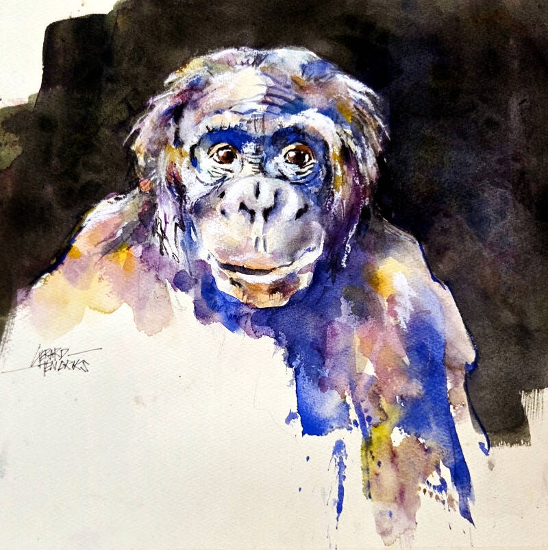 9130-bonobo-32x30cm-standard.jpg