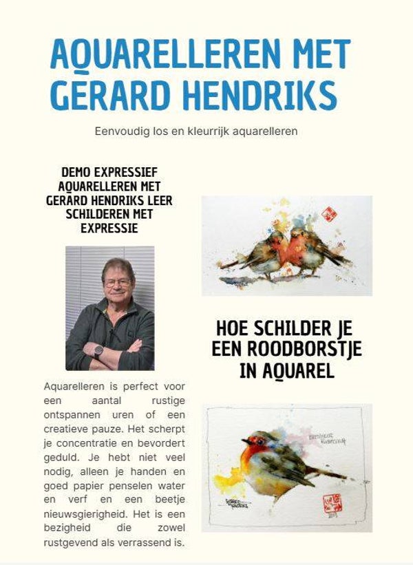 e-learning ''hoe schilder je een Roodborstje''