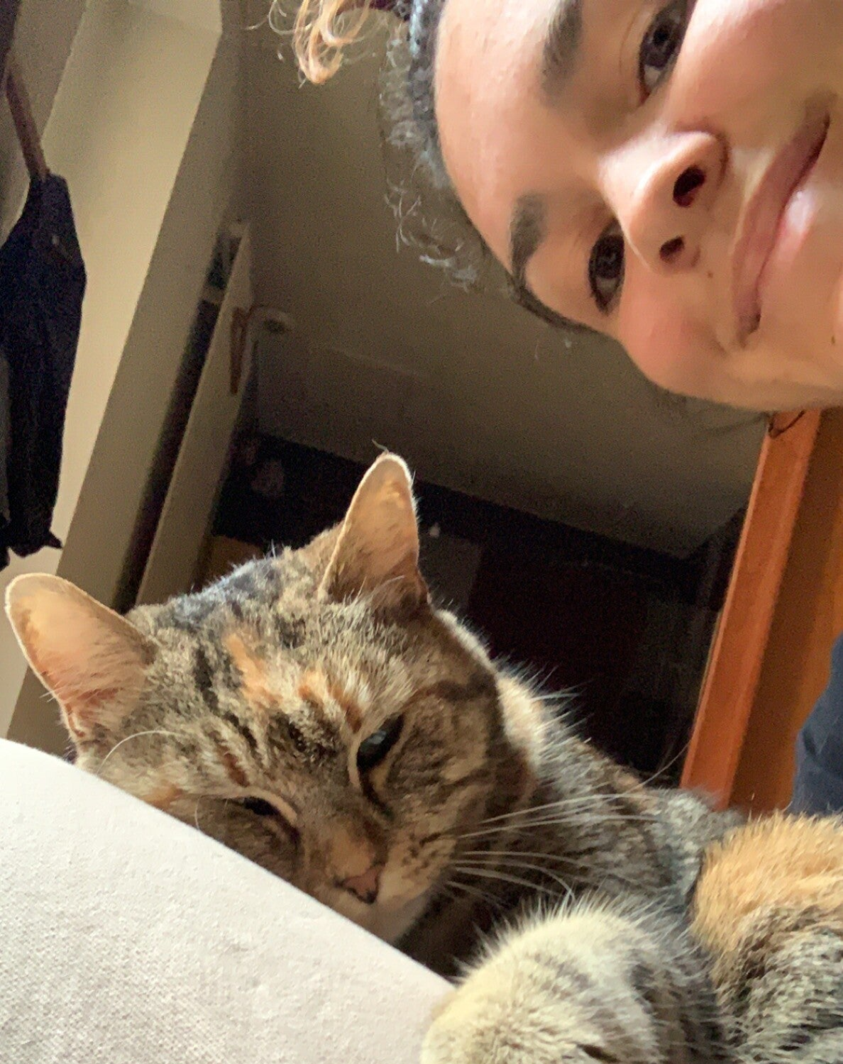 petsitter pro pins justaret