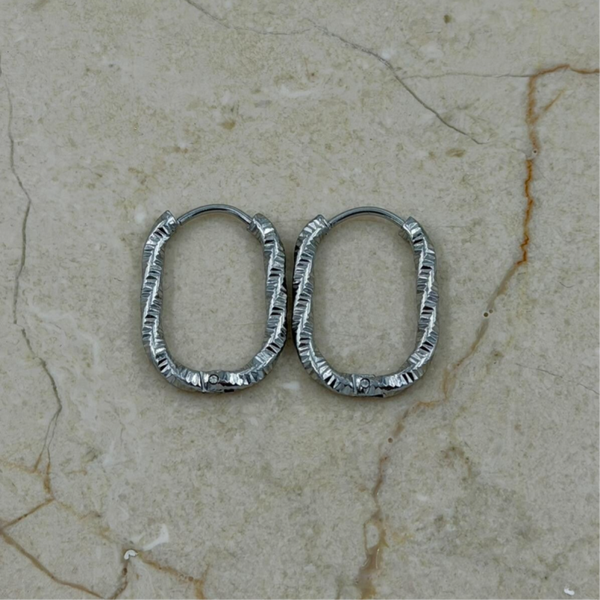 Zilver gedraaide ovale oorbellen