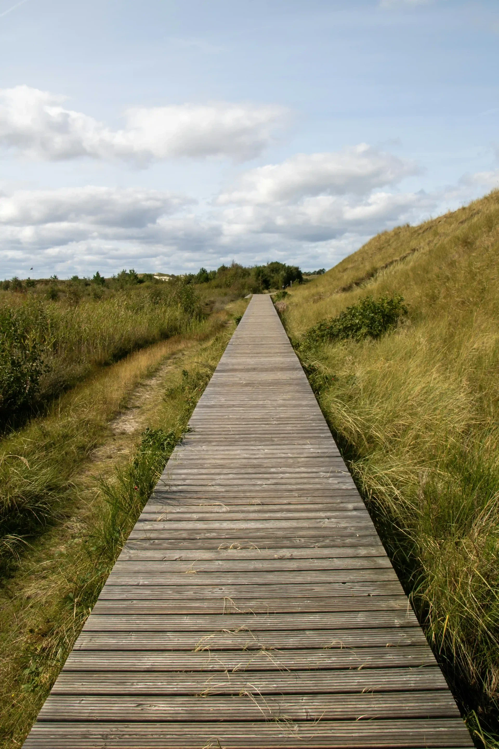 Bohlenweg am Wriakhörnsee auf Amrum mit Blick auf Dünenlandschaft und See