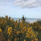 IMG_3824-1.jpg