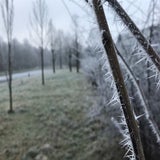IMG_0313.jpg
