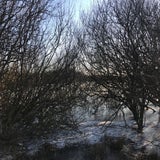 IMG_2661.jpg