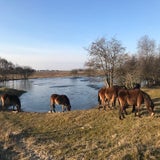 IMG_2640.jpg