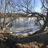 IMG_2703.jpg