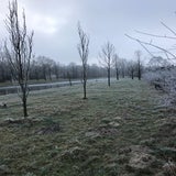 IMG_0306.jpg