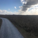 IMG_2530.jpg
