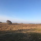 IMG_2656.jpg