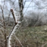 IMG_0320.jpg