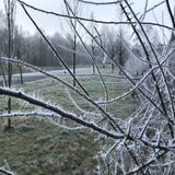 IMG_0317.jpg