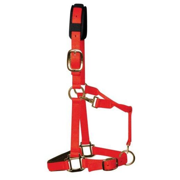 KM Elite Luxe Gevoerd halster - Rood