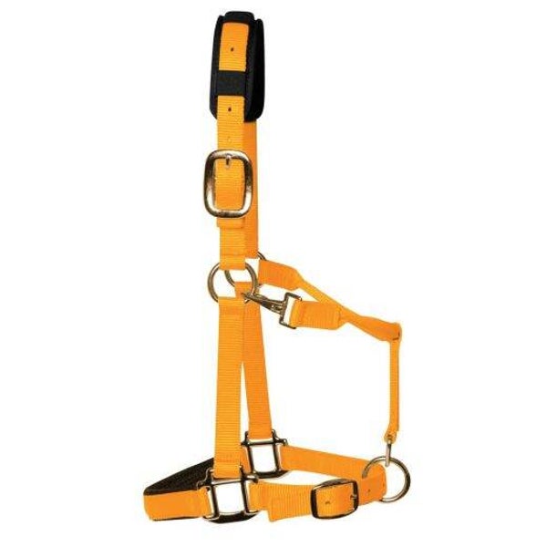 KM Elite Luxe Gevoerd halster - Neon oranje