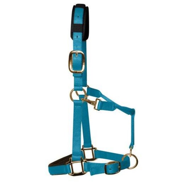 KM Elite Luxe Gevoerd halster - Turqoise