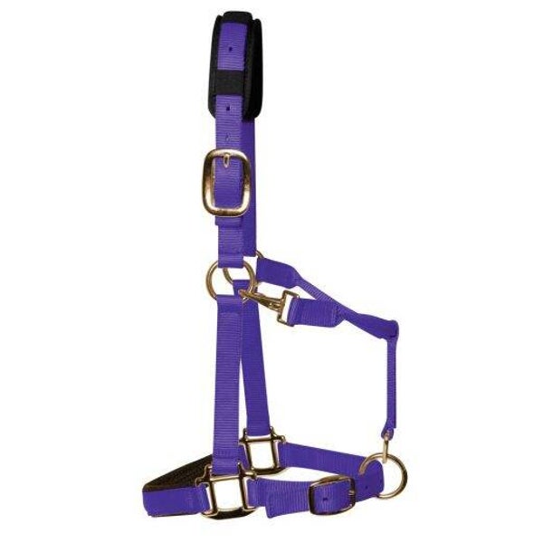 KM Elite Luxe Gevoerd halster - Paars