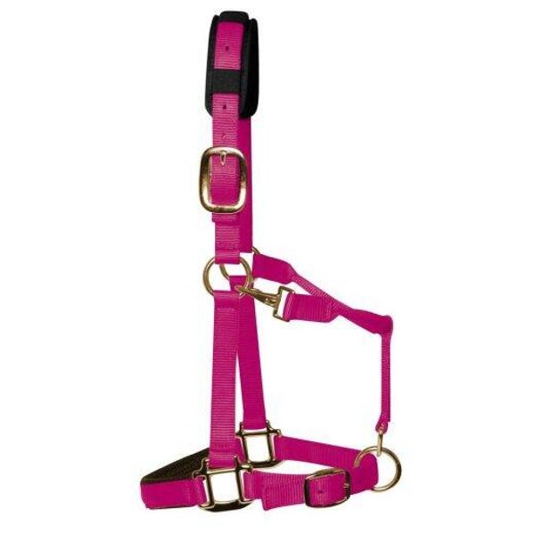 KM Elite Luxe Gevoerd halster - Framboos