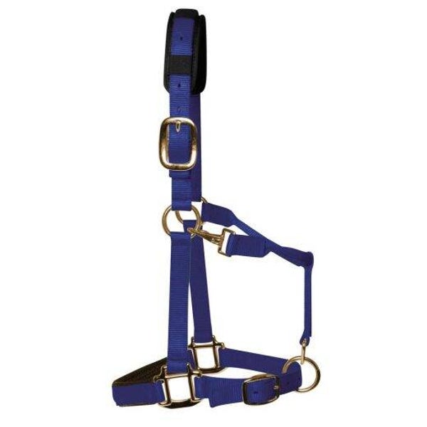 KM Elite Luxe Gevoerd halster - Royal Blue