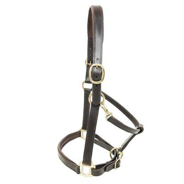KM Elite Padded Lederen halster luxe