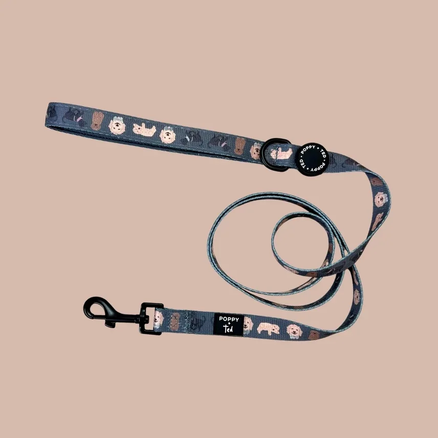Poppy&Ted - Hondenriem - Cockapoo/Cavapoo/Doodle