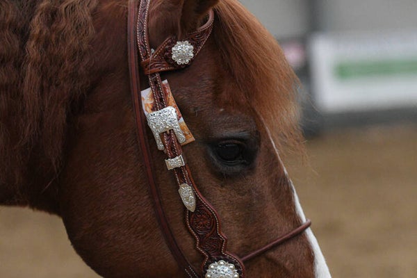 Two ear hoofdstel - Extra White Shine