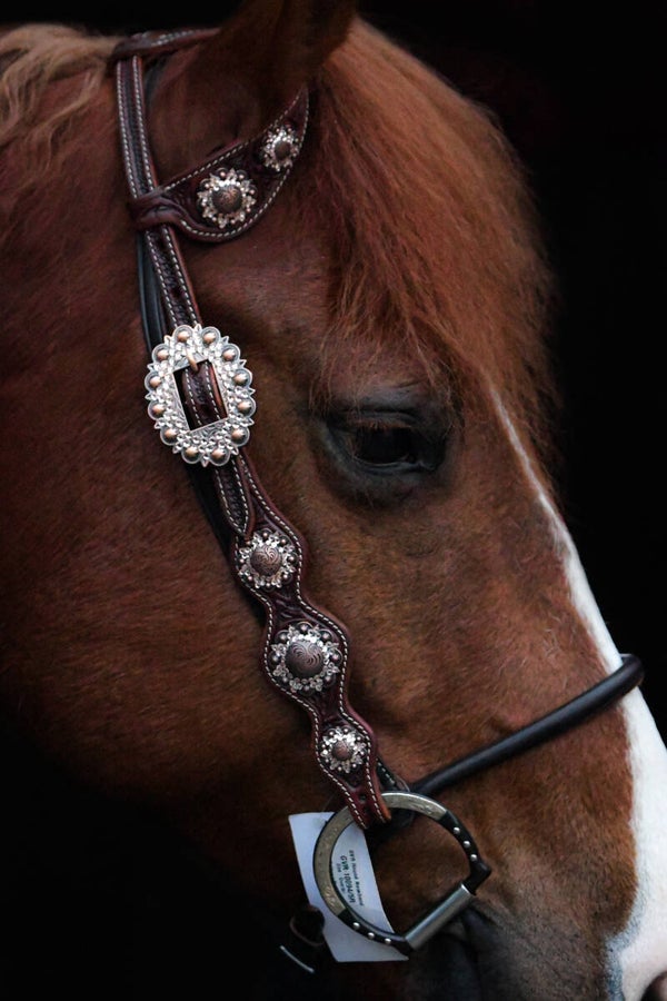 Two ear hoofdstel - Copper Peach