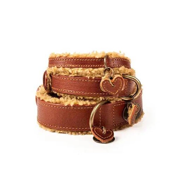 DWAM - Hondenhalsband Urban TEDDY