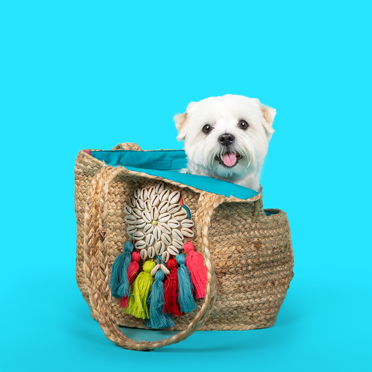 DWAM - The Woodstock Bag