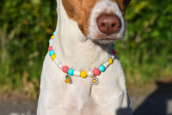 Anti-tekenbandje met kralen Neon Lights