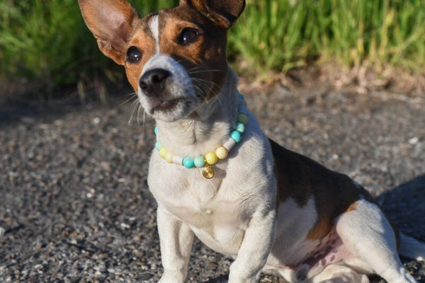 Anti-tekenbandje met kralen Smiling Pastels