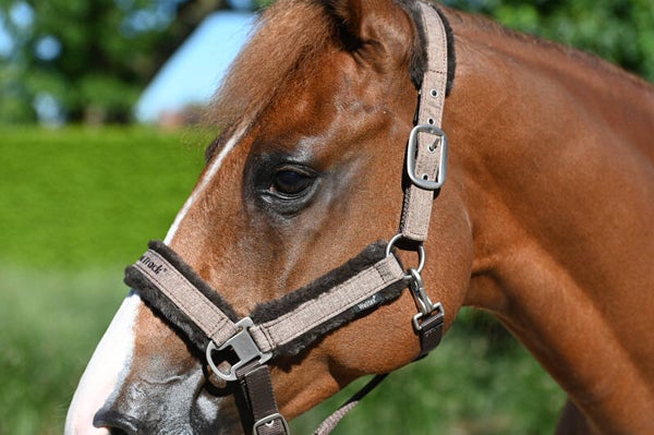 Back on Track - "Haze Collection" halster