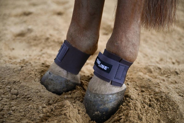 Thinline - Pastern Wraps