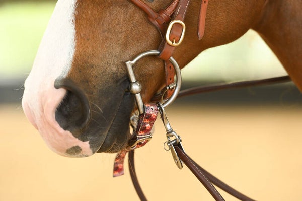 Schulz Equipe - Nylon kinriem