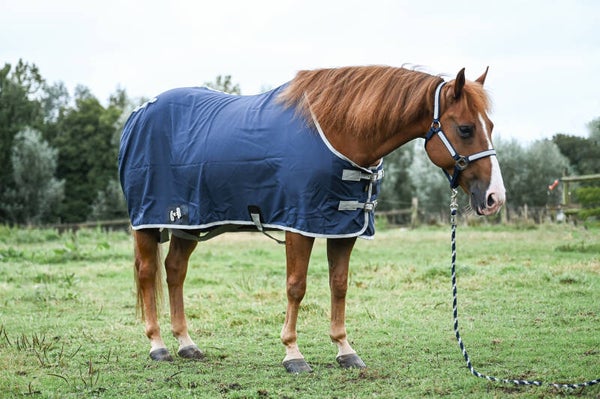 Lami-Cell Stable Sheet - Kansas