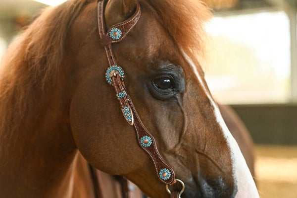 Set hoofdstel en borstriem turquoise