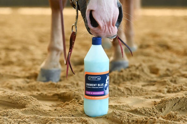 Biofarmab - Liniment Blue