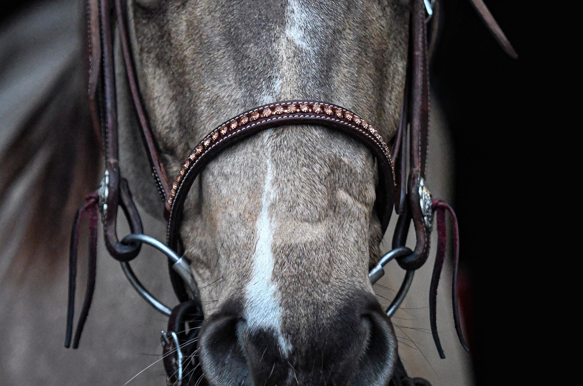 Neusriem rhinestones peach