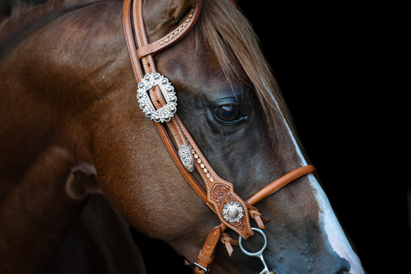 Two ear hoofdstel - Peachy shine