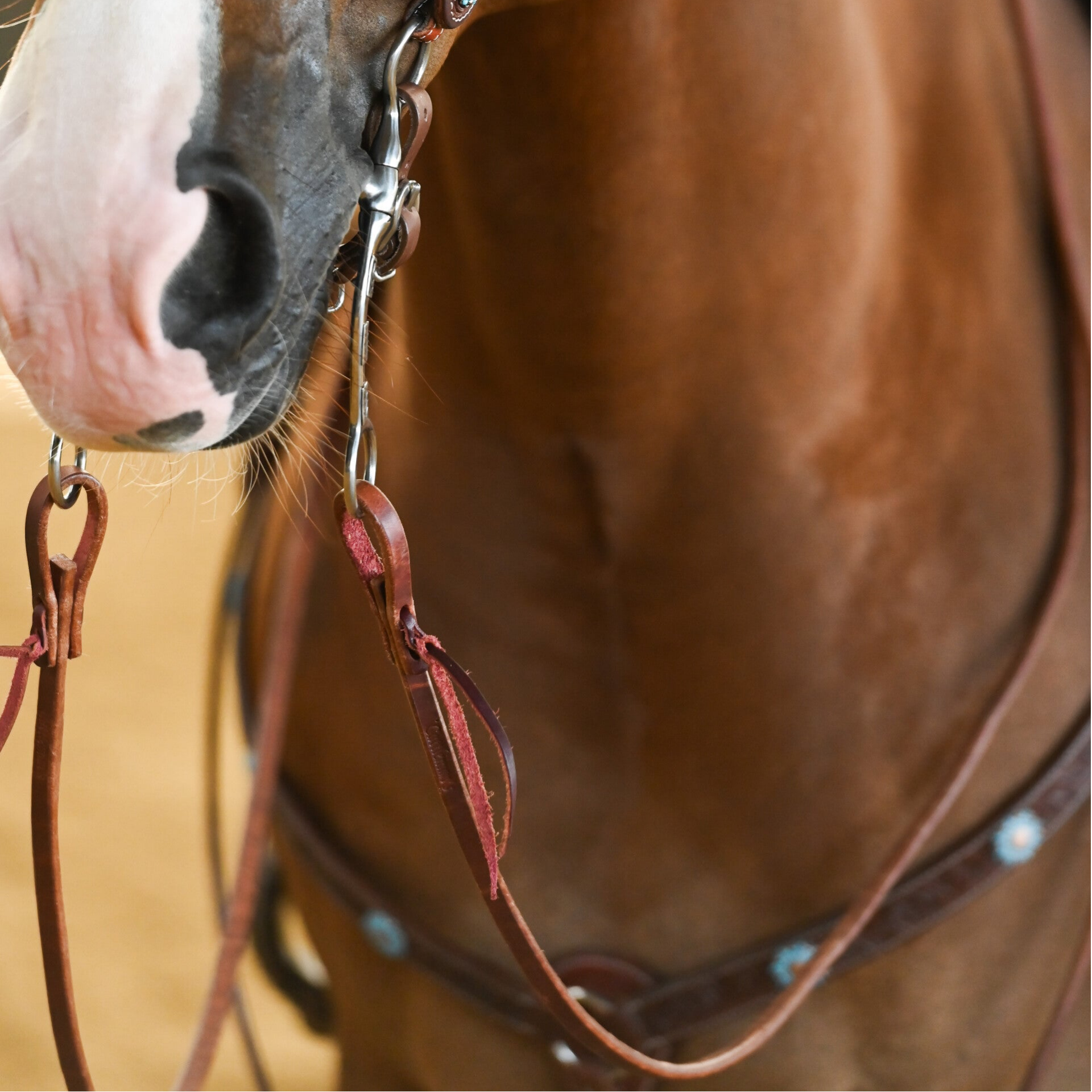 Lederen teugel Reins Premium Harness