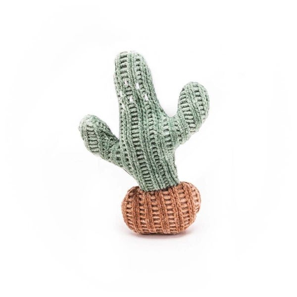 Jack and Vanilla Cactus