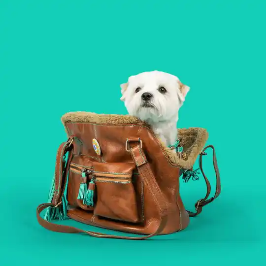 DWAM - Hipster Bag Blondie