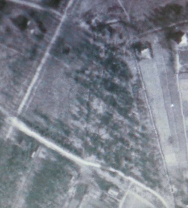 Luchtfoto van het galgenbos