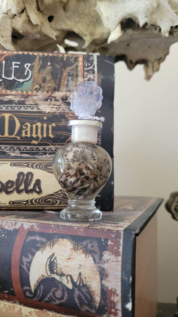 Small snake in a perfume jar
