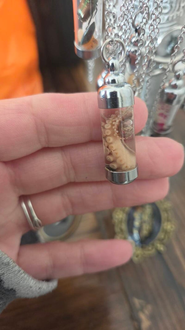 Octopus tenacle necklace
